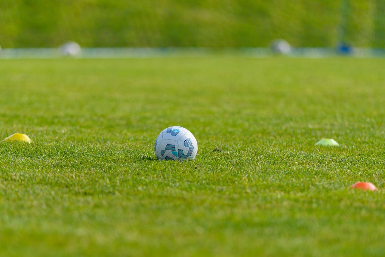 Services Soccer ball on a vibrant green grass field surrounded by colorful training cones, ideal for sports and recreation themes.
